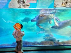 -海合安成都极地海洋公园