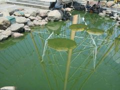 -南昌之星游乐场