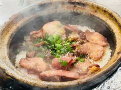-红星光发煲仔饭(大石街店)