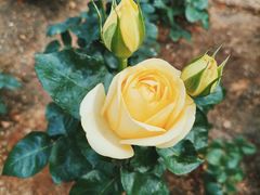 -人民公园(罗湖区)