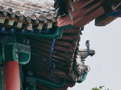 -济南大明湖景区