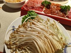 -小龙坎火锅(全球旗舰店)