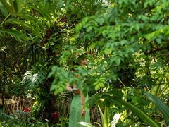 -中国科学院西双版纳热带植物园