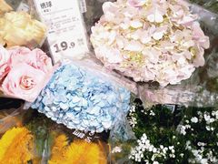 -鹿岛生活(熙地港店)