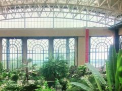 -郑州银基黄帝宫御温泉