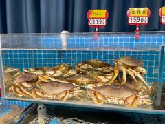 -韩记海鲜饺子旗舰店(红海新区店)