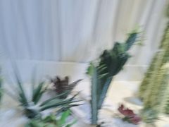 -悦海·家宴·冰花皮皮虾大锅贴(宝龙店)