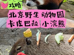 -北京野生动物园