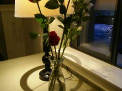 -杨桃院子旅馆(厦门鼓浪屿中华红墨店)