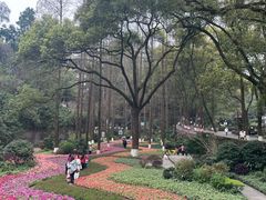 -忠山公园