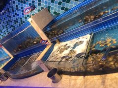 水产区-乔哥铭洋海鲜自助(皇城恒隆广场店)