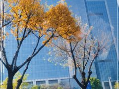 -广州粤海喜来登酒店