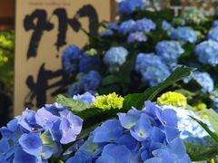 -湖畔居茶楼(湖滨店)