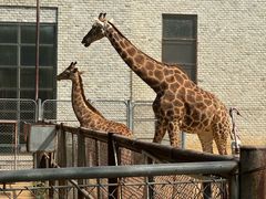 -石家庄市动物园