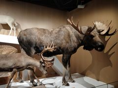 -陕西自然博物馆