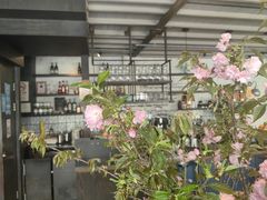 -Apollo·西班牙小酒馆(安福路店)