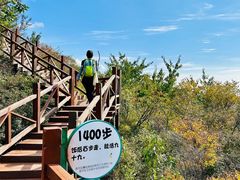 -大岭沟猕猴桃谷风景区