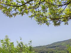-伏羲山旅游区