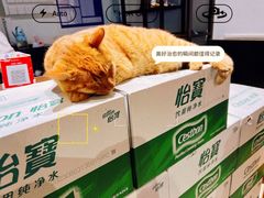 -西园寺素食(西园弄戒幢律寺店)