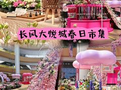 -上海长风大悦城