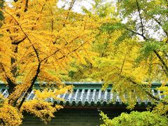 -月坛公园