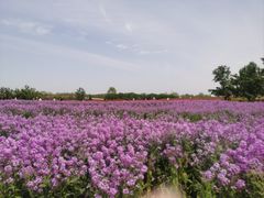 -江苏三台山国家森林公园