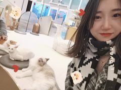 -飞行喵MR PILOT|猫舍·猫咖(静安大融城店)