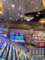 -卡通尼·Safari非洲探索乐园·生日会(金桥国际商业广场店)