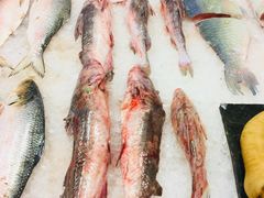 红烧长江鮰鱼-莆鑫海鲜城(浏河店)