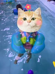 -纯一宝贝儿童游泳中心(生态大街店)