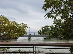 -深圳湾公园(南山区)