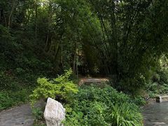 -黔灵山公园