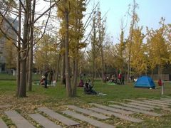 -重庆市江北嘴中央商务区中央公园