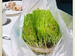 -粤小煲鲜汤猪肚鸡(丹尼斯二天地店)