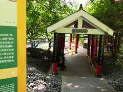 -金鸡山公园