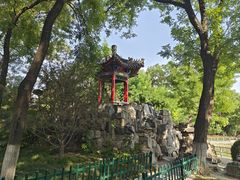 -莲湖公园