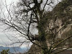 -大慈岩风景区