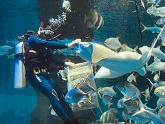 -北戴河圣蓝海洋公园