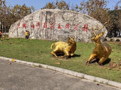 -上海海湾国家森林公园