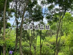 -黄龙溪欢乐田园