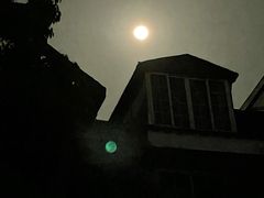 -一只酸奶牛(八一路店)