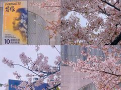 -龙美术馆(西岸馆)