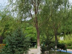 -翠矶山公园
