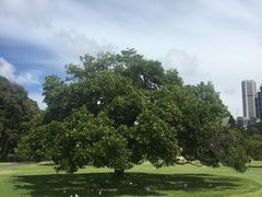 -悉尼歌剧院