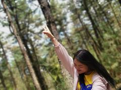 -帽儿山国家森林公园