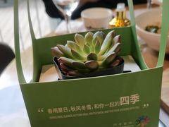 -四季餐厅·新津菜(环湖中路店)