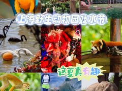 -上海野生动物园
