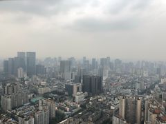 -339旋转餐厅(天府熊猫塔店)