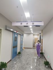 -碧莲盛·不剃发植发