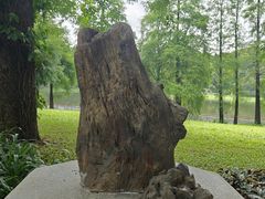 -东莞植物园